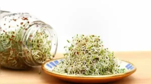 Whether you're making a quick sprouts salad, a chaat, or throwing a handful into a curry