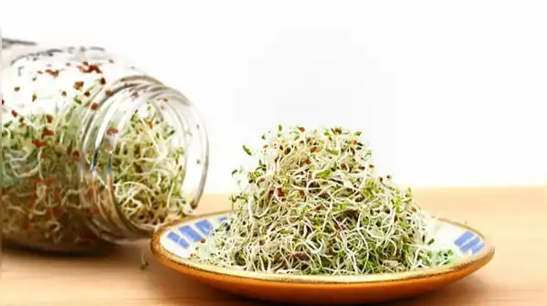 Whether you're making a quick sprouts salad, a chaat, or throwing a handful into a curry
