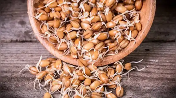 Whether you're making a quick sprouts salad, a chaat, or throwing a handful into a curry