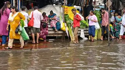 North India weather tomorrow Jammu and Kashmir, Ladakh: The wider industry impact