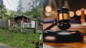 For more than half a century, two acres in the hills of Lagunitas became the home, workplace