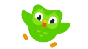 Duolingo introduces 'learn English from Punjabi' course