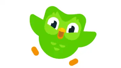 Duolingo introduces 'learn English from Punjabi' course
