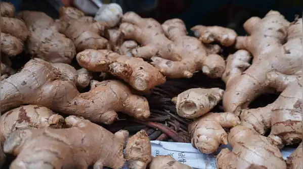 That is what makes his story more than a simple “farmer earns Rs 17 lakh” success story