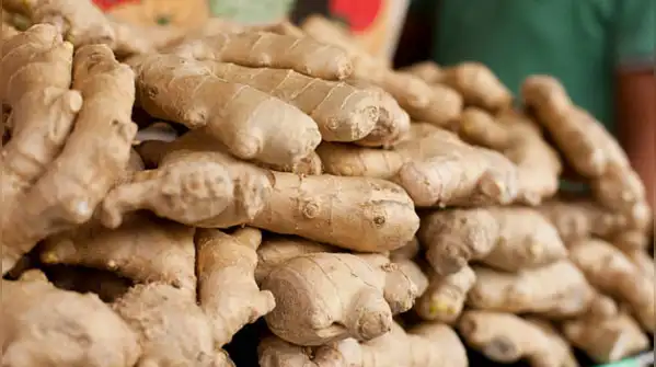 That is what makes his story more than a simple “farmer earns Rs 17 lakh” success story