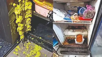 Roaches, rats and stale food: 11 popular Hyderabad eateries confronts action
