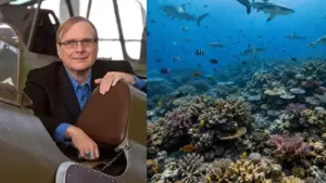 In 2015, Paul Allen launched a global shark survey across 58: The wider industry impact