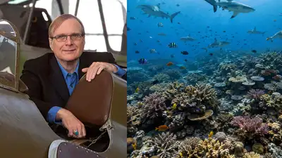 In 2015, Paul Allen launched a global shark survey across 58: The wider industry impact