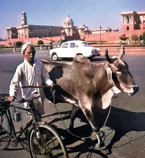 Alongside these personal archives, Hardeep also relies on old history books to piece together