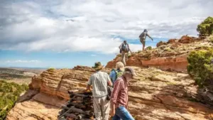 When conservationists bought a Wyoming cattle ranch in the 1990s: The wider industry impact