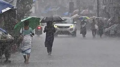 (Representative image) Rain and thunderstorms are forecast across: The wider industry impact