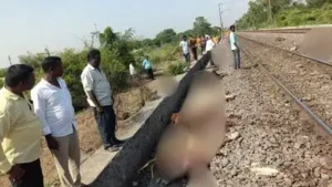 At least 195 sheep were confirmed dead after a flock strayed onto railway tracks and was run