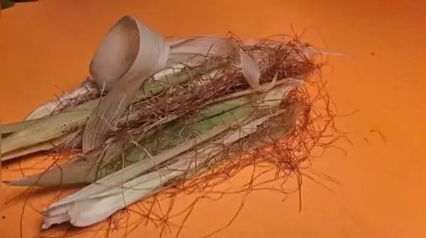 With just a handful of dried or softened husks and a few spare minutes, you can give some