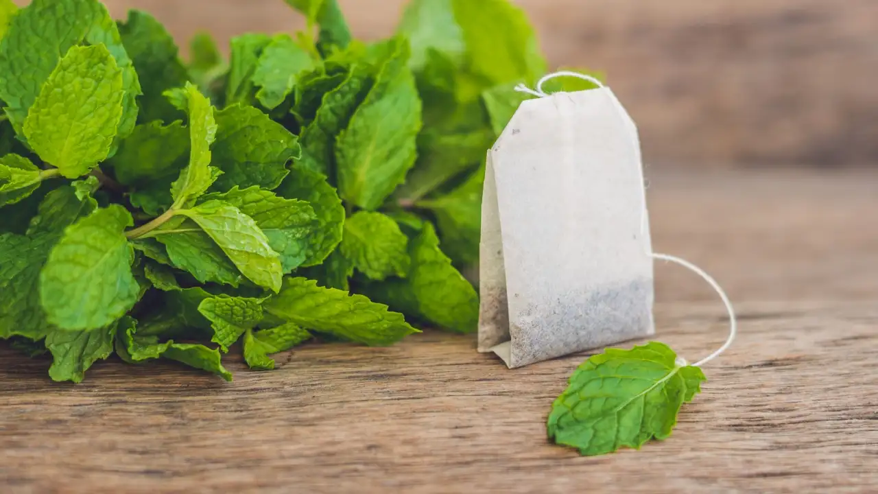 save your used tea bags for next week as a simple way to deter spiders — If you are a homeowner