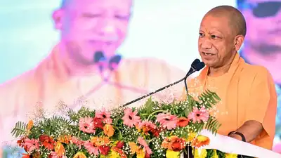 Students enrolled in recognized Sanskrit courses and institutions: The wider industry impact