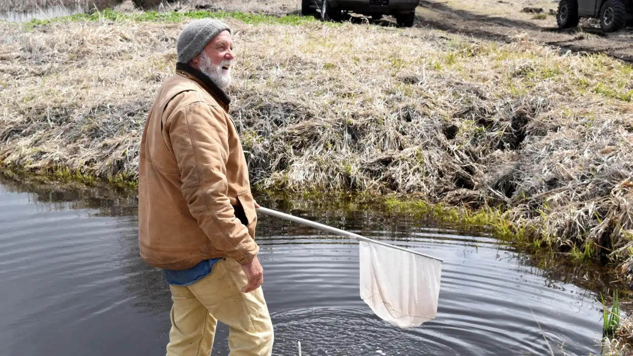 Why an Oregon farmer turned 70 acres of his barley farm: The wider industry impact