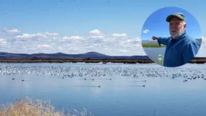 Why an Oregon farmer turned 70 acres of his barley farm: The wider industry impact
