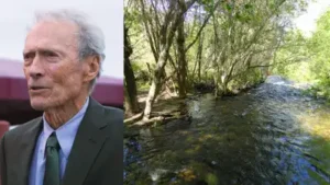 Clint Eastwood and his former wife Maggie donated 79 acres of land: The wider industry impact
