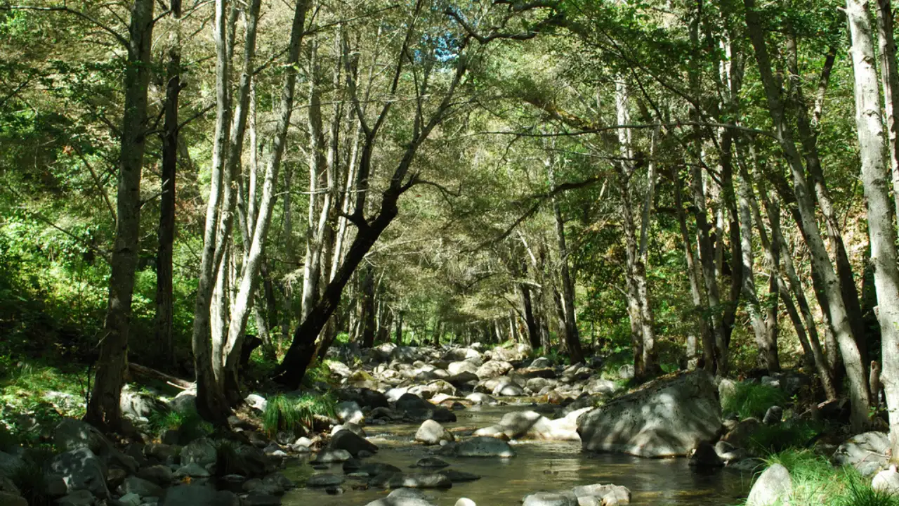 Clint Eastwood and his former wife Maggie donated 79 acres of land: The wider industry impact