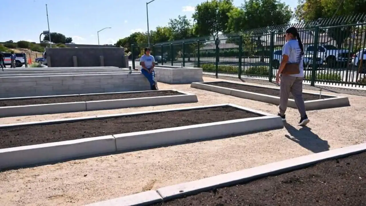 California turned a dirt lot beside Highway 41 into a $1.6M garden: The wider industry impact