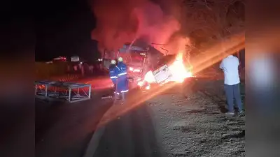 Video: Driver, 200 goats charred to death after vehicle hits pole in Telangana
