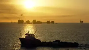 In 2020, BSEE reported 43 retired Gulf platforms had joined: The wider industry impact