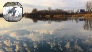 Buffalo turned a 264-acre industrial dump into a nature preserve; 50: The wider industry impact