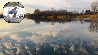 Buffalo turned a 264-acre industrial dump into a nature preserve; 50: The wider industry impact