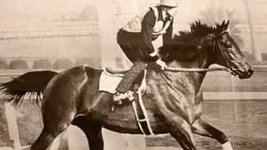 For years, Ridgewood Ranch in Mendocino County, California, was: The wider industry impact