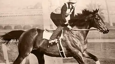 For years, Ridgewood Ranch in Mendocino County, California, was: The wider industry impact