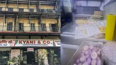Inspectors found a faulty refrigerator with a mould-like layer, foul smell and live cockroaches