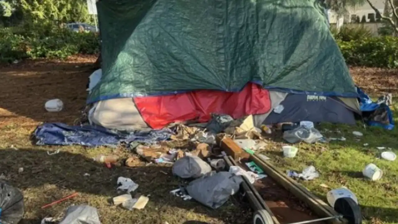 10-year-old Seattle boy lived in a tent while his mother battled: The wider industry impact