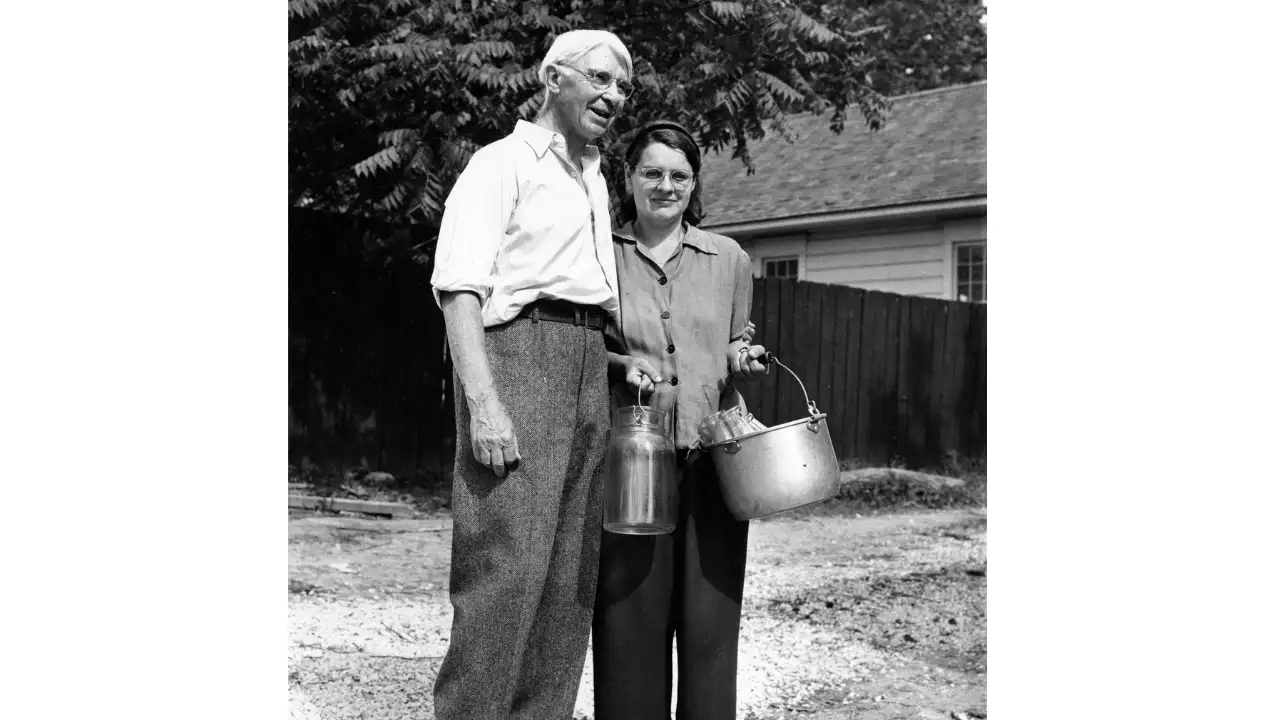 Carl Sandburg bought a 245-acre North Carolina estate for his wife's: The wider industry impact