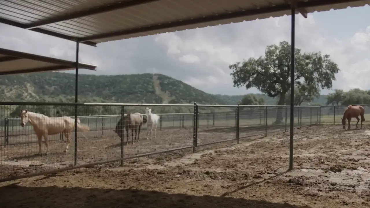 At the time, NBA legend George Hill decided to live at the Scenic Hills Ranch