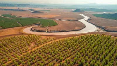 Representative Image of the Yellow River Basin with expanding: The wider industry impact