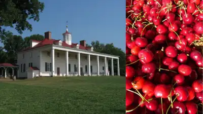 Archaeologists were excavating George Washington’s Mount Vernon: The wider industry impact