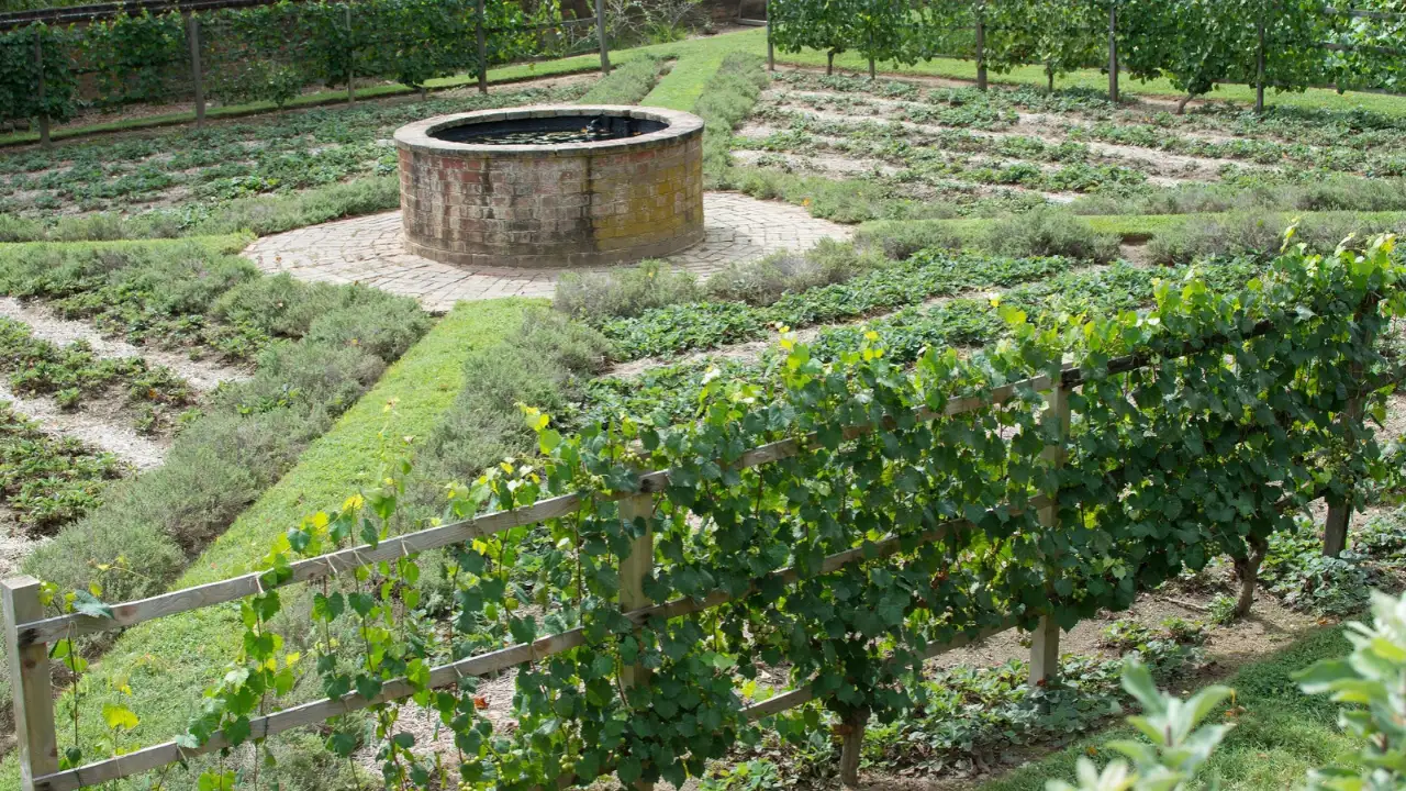 Archaeologists were excavating George Washington’s Mount Vernon: The wider industry impact