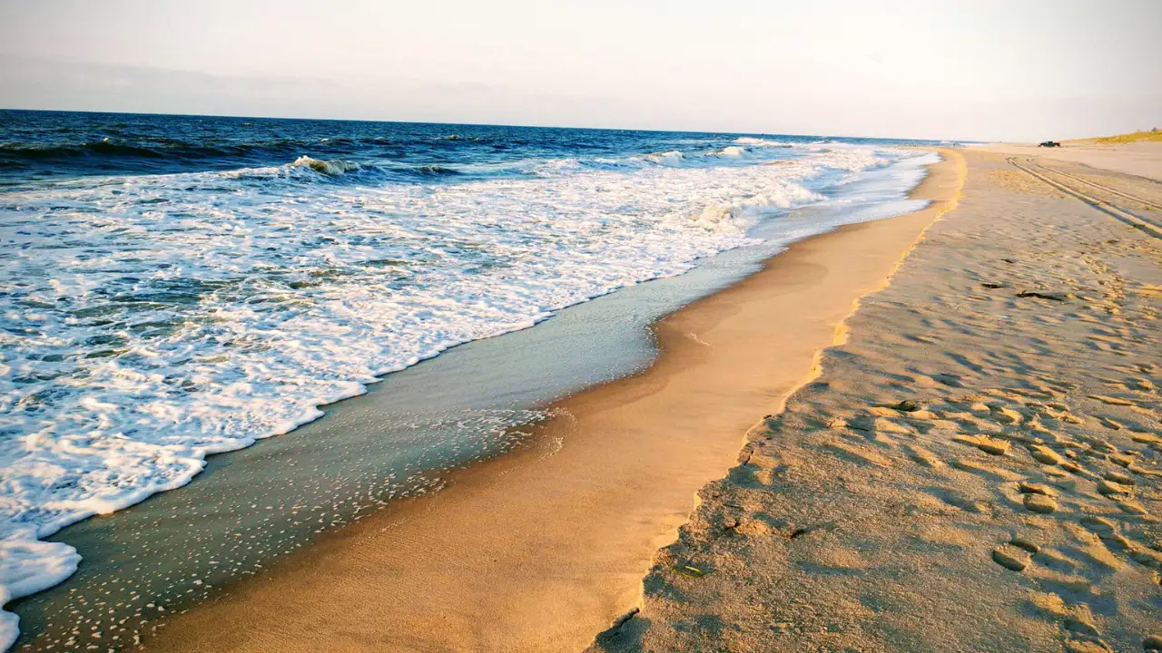 Jaws director Steven Spielberg protected 7.46 East Hampton acres with conservation easements