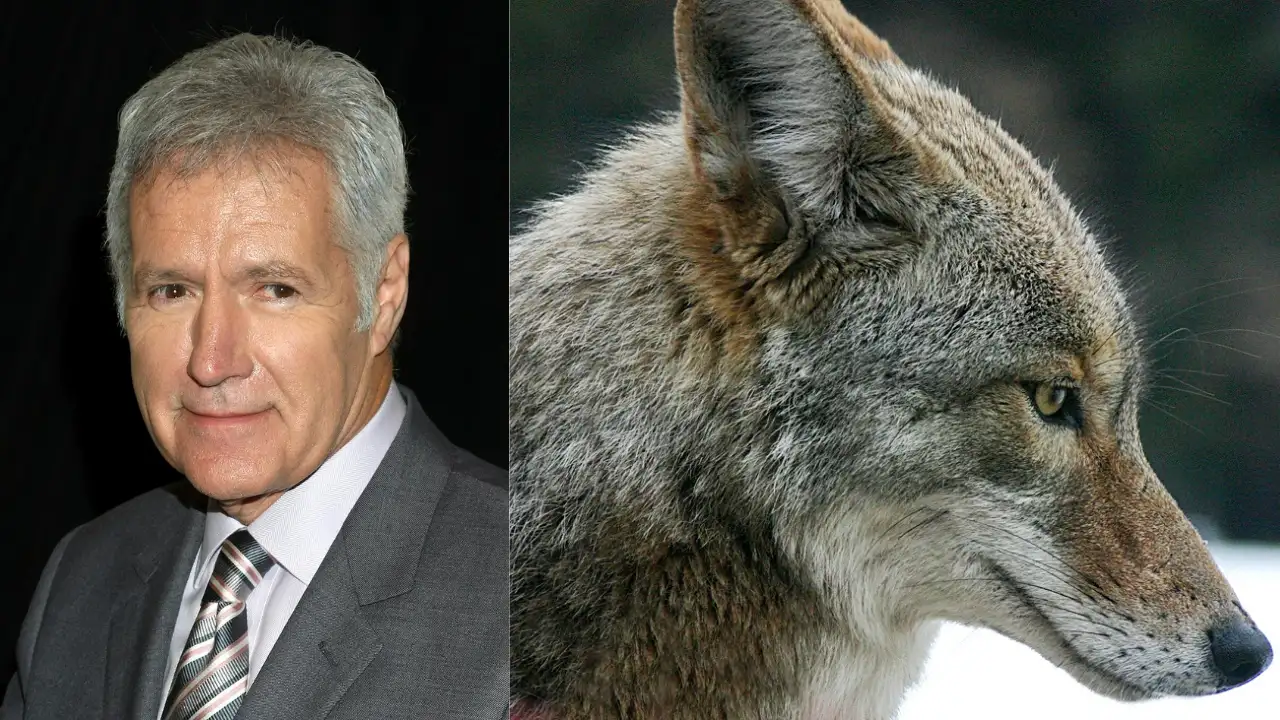 In 1998, Jeopardy! host Alex Trebek donated 74 Hollywood Hills acres worth $2 million, nearly