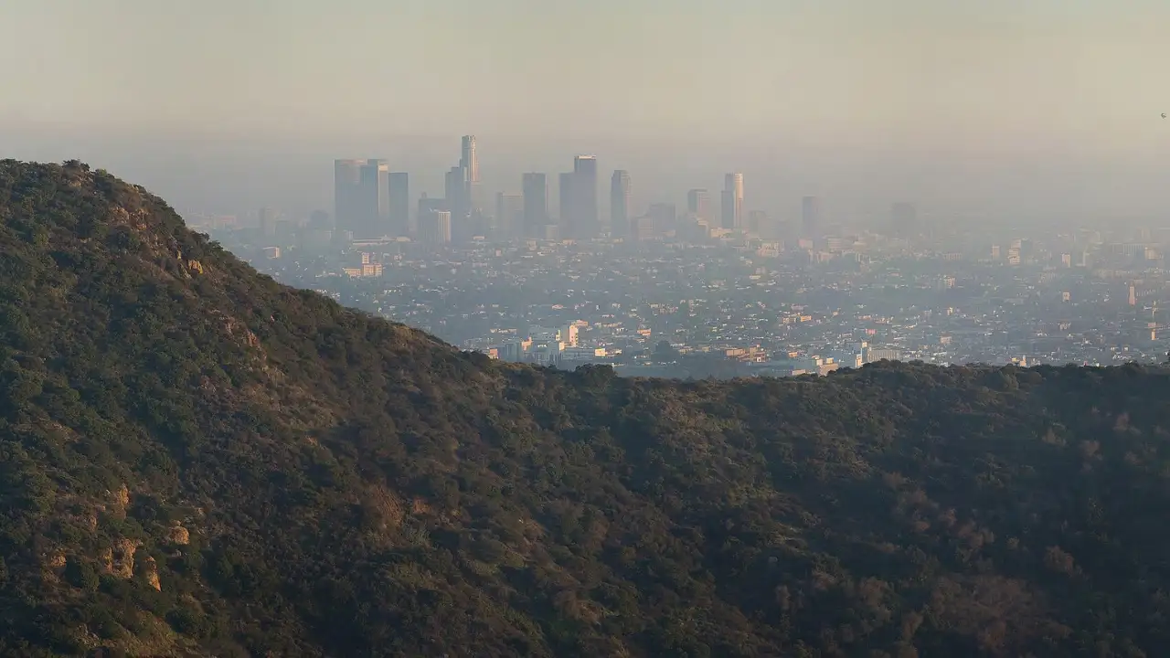 In 1998, Jeopardy! host Alex Trebek donated 74 Hollywood Hills acres worth $2 million, nearly