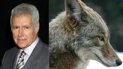 In 1998, Jeopardy! host Alex Trebek donated 74 Hollywood Hills acres worth $2 million, nearly