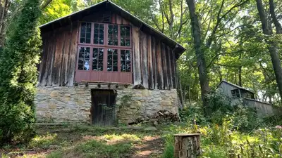 In 1951, an artist and a librarian built a riverside cabin with no electricity and lived