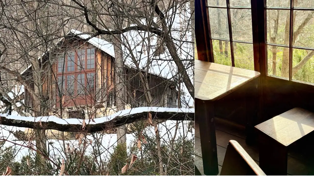 In 1951, an artist and a librarian built a riverside cabin with no electricity and lived