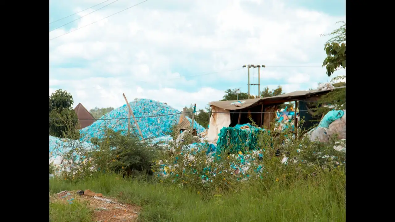 When American Peace Corps volunteer Laura Kutner arrived: The wider industry impact