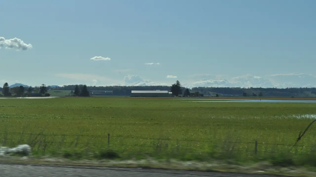 Skagit County's 2025 result came below its longer-term target: The wider industry impact