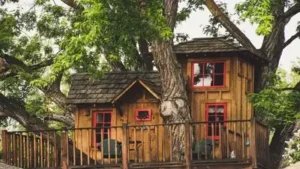In 2015, a Washington couple who paid $6.7m for a lakefront home added a children's treehouse