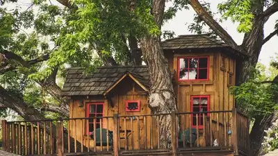 In 2015, a Washington couple who paid $6.7m for a lakefront home added a children's treehouse