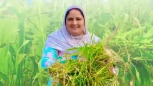 How a Moga woman turned mockery into an Rs 80 lakh farming enterprise — From half an acre to 40