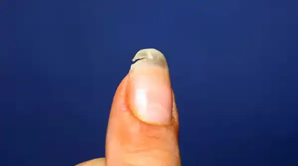 Are manicures damaging your nails? The hidden truth behind weak and brittle nails