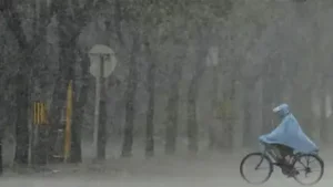 IMD forecasts heavy rain, thunderstorms across states; red alert: The wider industry impact